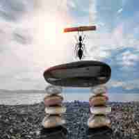 内‌容﻿分‌发‍网﻿络‌业‌务‍是﻿什‌么﻿